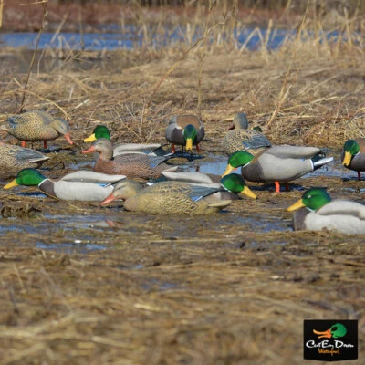 Avery GHG Pro-Grade Mallard Decoy - Harvester Pack w/ Flocked Heads - Image 1 of 4
