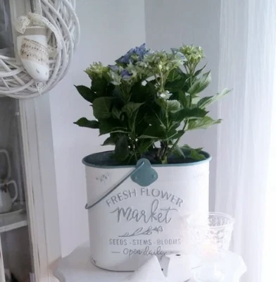 Großer Übertopf, Eimer mit Henkel Blumenkübel, FLOWER MARKET, Shabby Weiß, XL, - Bild 1 von 3