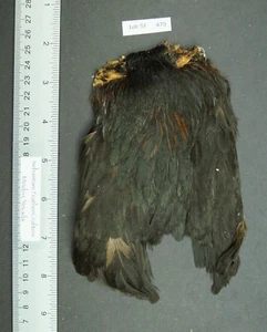 Lote Importado Natural Negro/Marrón Variante Cuello Mosca Atado/Artesanía-SF 479 - Imagen 1 de 8