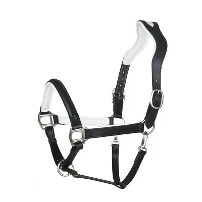 BergReiter anatomisches Lederhalfter Professional White  Showhalfter - Bild 1 von 4