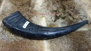 Trinkhorn, Wasserbüffel versch. Größen 200 - 590 ml, schwarz, Methorn, LARP - Bild 1 von 8