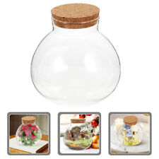  Plant Terrarium Vase Cork Glass Jar Succulent Planters with Lid Container