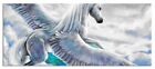 Pegasus Vola sopra le Nuvole Panorama Quadro Vetro, Incl. Montaggio a Parete