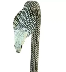 Bastón de madera tallado a mano cobra serpiente hecho a mano bastón animal - Imagen 1 de 2