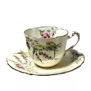 Tazza da tè e piattino Paragon principessa nascita di Margherita rose uccellini floreale giallo 1930 - Foto 1 di 9