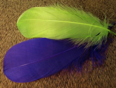 Nature's Spirit 6 SELECT GOOSE SHOULDER FEATHERS Fly Tying Material - Image 1 of 2