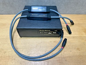 Transparentes Kabel symmetrisch MusikLink Super 1 m 3,9 Fuß XLR-Kabel (super gepflegt) - Bild 1 von 12