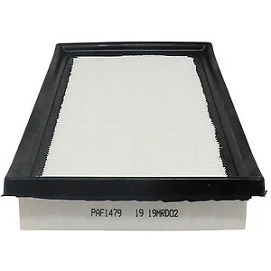 Air Filter  Prime Guard Filters  PAF1479 - Image 1 of 4
