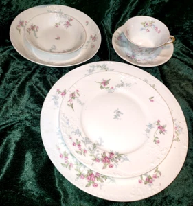 Theodore Haviland Limoges France Floral Pink Blue Place Setting 6 PC - Picture 1 of 5