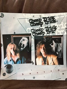 TRUCCO ECONOMICO - Busted -- 2 lati PROMO LP Cover Slick / Poster 12"x12" - Foto 1 di 2