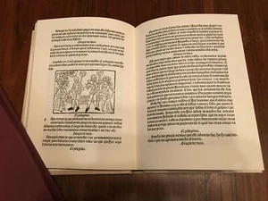 Buch Pelegrino De La Vida Humana Digudeville - Faksimile Limited Hg. 137/3000 - Picture 1 of 6