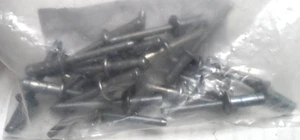 Mercedes Benz A 0049901797 Blind Rivet   PACKAGE CONTAIN (20) PIECE RIVET - Imagen 1 de 4