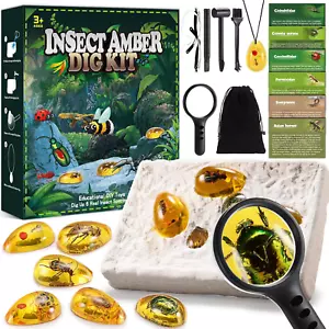 Spielzeug Ab 5-12 Jahre Jungen, Fossilien Ausgrabungsset Für Kinder Spiele Ab 6 - Bild 1 von 12