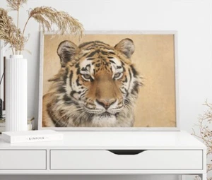 Tiger Closeup Photograph Poster Premium Quality Choose your Size - Picture 1 of 5