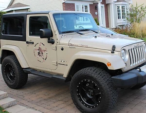 2 X ARMY US ROUNDEL STAR CAMOUFLAGE 55cmX55cm 4x4 STICKER AA220 DESERT - Imagen 1 de 2