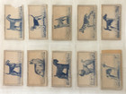 CARRERAS TURF cigarette cards FAMOUS DOG BREEDS, 1952 - 41 cards