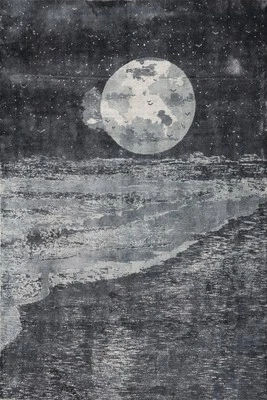 Alfombra abstracta 6x8 hecha a mano escena de playa iluminada por la luna perfecta para habitaciones costeras Foto 1 de 4