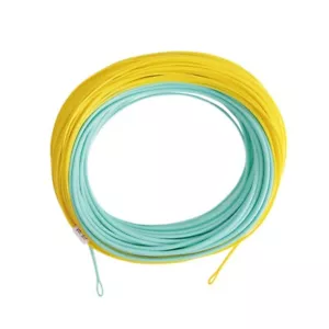 General purpose Saltwater Fly Fishing Line Weight Forward Floating WF8/9/10F - Picture 1 of 6