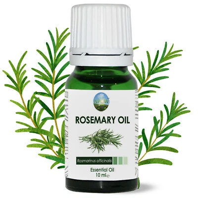 Rosemary Essential Oil 10ml - Rosmarinus officinalis - CAS 8000-25-7 by NPOW™