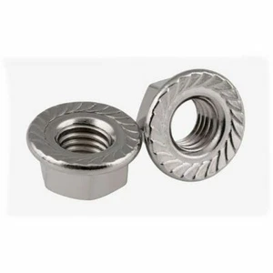 Metric DIN6923 304 Stainless Steel Hex Flange Nut Hexagon Nut With Flange M3-M12 - Picture 1 of 6