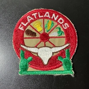 FLATLANDS DISTRICT Cut Edge Irregular Boy Scout Uniform Badge Canadian (ABF2A) - Bild 1 von 6