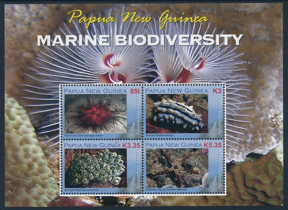 Mini hoja Papúa Nueva Guinea 2008 biodiversidad marina fina como nueva MNH Foto 1 de 1