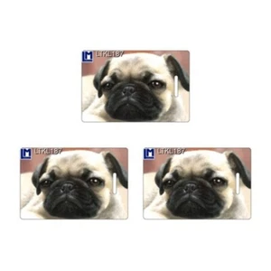 Animated Pug / Dog 3D Lenticular Luggage Tags, 3.5 x 2.5 Inches (Pack of 3) - Picture 1 of 2