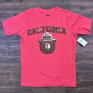 Disney Smokey the Bear CALIFORNIA Youth XS (2/4) Graphic Tee NWT Hipster Kids - Picture 1 of 7
