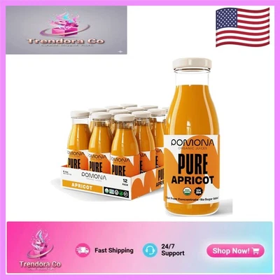 Refreshing Organic Apricot Juice - 100% Pure, No Added Sugar, 12 Bottles, 8.4 oz - Image 1 of 4