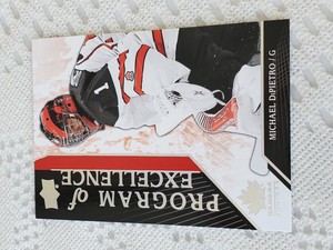 2019 Upper Deck Team Canada Juniors Program of Excellence Michael DiPietro #101