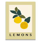 Lemons Fruits Abstract Kitchen Wine Wo Aesthetic Poster 11X14 inches