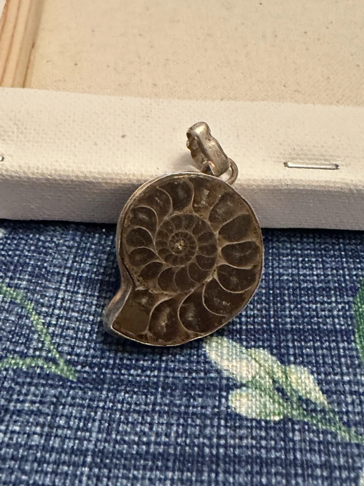 Juego de colgantes fósiles de ammolita en plata de ley Foto 1 de 2