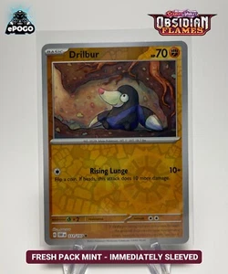 Drilbur 111/197 Reverse Holo Pokemon TCG: Obsidian Flames MINT SHIPPED TODAY - Picture 1 of 2