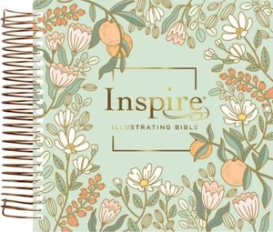 NLT Dayspring Inspire Illustrating Bible, Filament Edition - Picture 1 of 1