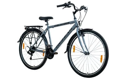 Herrenfahrrad 28" Zoll Cityfahrrad Jungenfahrrad Citybike 21 Gang NEU - Bild 1 von 4