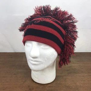 Busch Gardens Striped & Fringed Acrylic Beanie One Size Toboggan CH46 - Picture 1 of 6