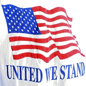 T-Shirt Mens L United We Stand US Flag - Picture 1 of 2