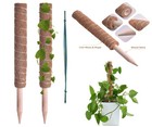 Moss Pole 2pcs 40cm Coir Totem Creeper Plant Support Climbing Extension Garden