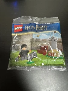 Lego 30706 Harry Potter Quidditch Lesson Polybag Factory Sealed 2025 New! - Picture 1 of 2