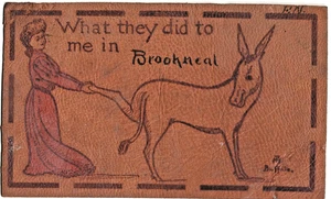 LEDER Postkarte Was sie mir angetan haben in Brookneal VA Bein auf Esel ziehen 1907 - Bild 1 von 2
