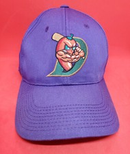 EL Paso Diablos Snapback Minor League Purple Baseball Cap Hat Embroidered Joey