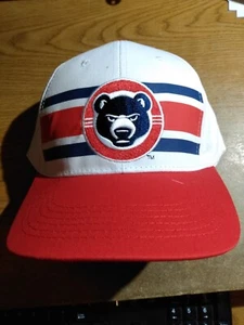 South Bend Cubs Baseball Cap Hat Adjustable Blue/Red FAN GIVE AWAY CARE SOURCE - Picture 1 of 4