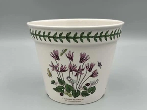 Portmeirion Botanic Garden - Ivy Leaved Cyclamen 6" Plant Holder. - Picture 1 of 2