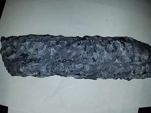 Fossil Stigmaria Lepidodendron Tree Root Section Fossil Penna - Picture 1 of 2