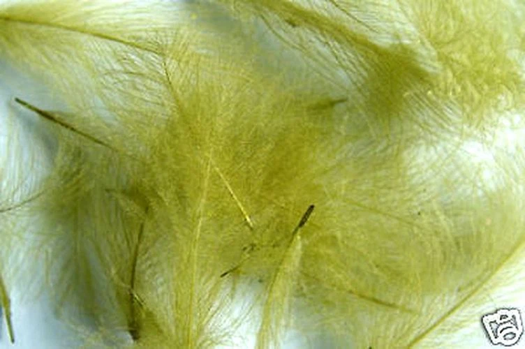 1g Plumes de Cul de Canard (CDC) Olive Vert / Medium fly tying montage mouche - Photo 1/1