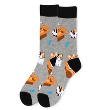 CATS IN BOXES ALL OVER GREY PAIR OF NOVELTY SOCKS