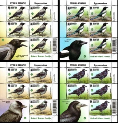 2024 Bielorrusia Aves de Bielorrusia - Córvidos MNH Foto 1 de 4