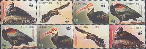 Lesotho Both Strips WWF Southern Bald Ibis 2004 MNH-12 Euro Cover