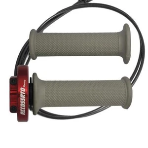 2013-2014 Triumph Daytona 675 Red Quick Throttle Control Grips Silver - Picture 1 of 7