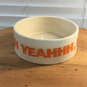 Rare MTV Jersey Shore “Ohhh Yeah, Food!” Ceramic Pet Bowl 6 Inch - Picture 1 of 10